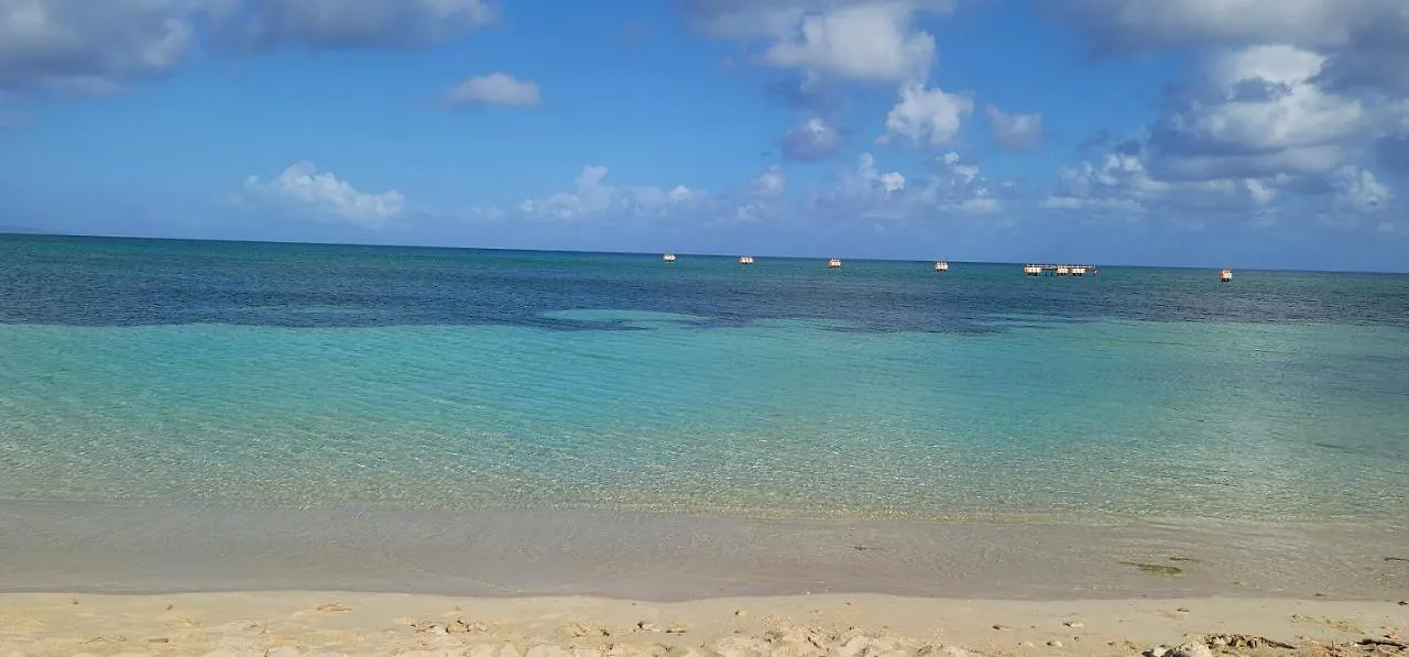 Airport Beach Hotel 蒙特哥贝 0*,  牙买加