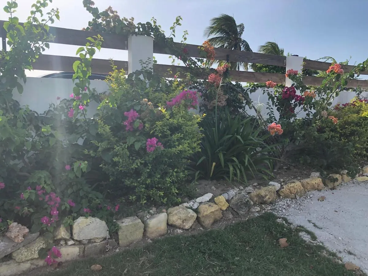 Airport Beach Hotel 蒙特哥贝