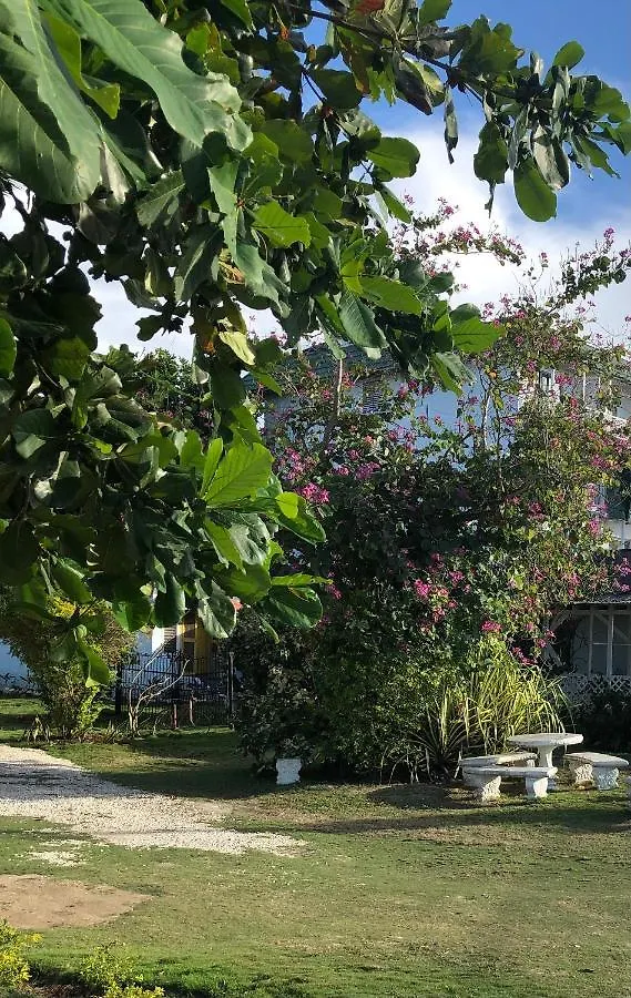 公寓式酒店 Airport Beach Hotel 蒙特哥贝